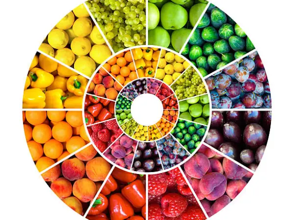 Best dietitian in Chandigarh